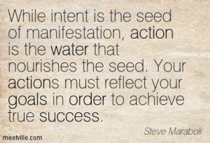 Quotation-Steve-Maraboli-life-success-motivation-water-goals-inspirational-action-order-Meetville-Quotes-7196